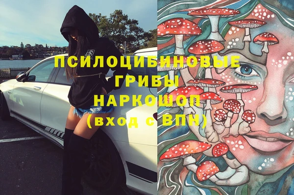 прущие грибы Белоозёрский