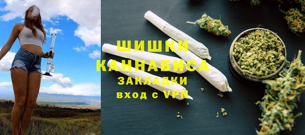 прущие грибы Белоозёрский